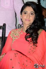 Pilla Nuvvu Leni Jeevitham Movie Audio Success Meet